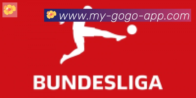 GOGO体育官网合作伙伴